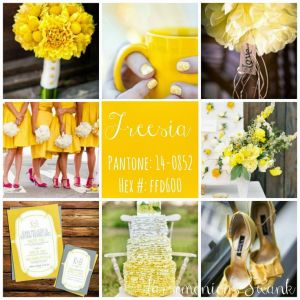 454418081621d3b20de8b1343b3ee3af